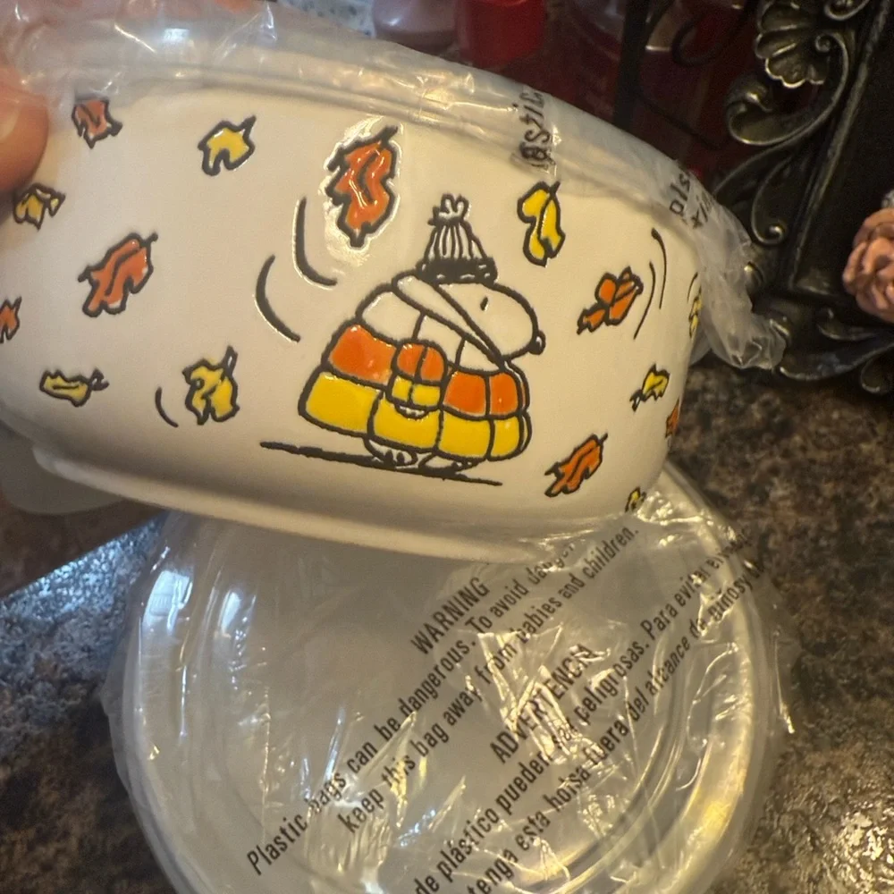 Peanuts fall bowl set